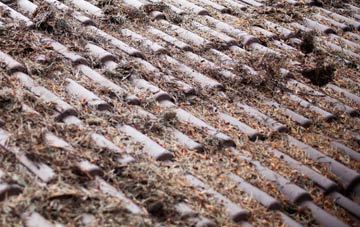 Culmer roof cleaning companies